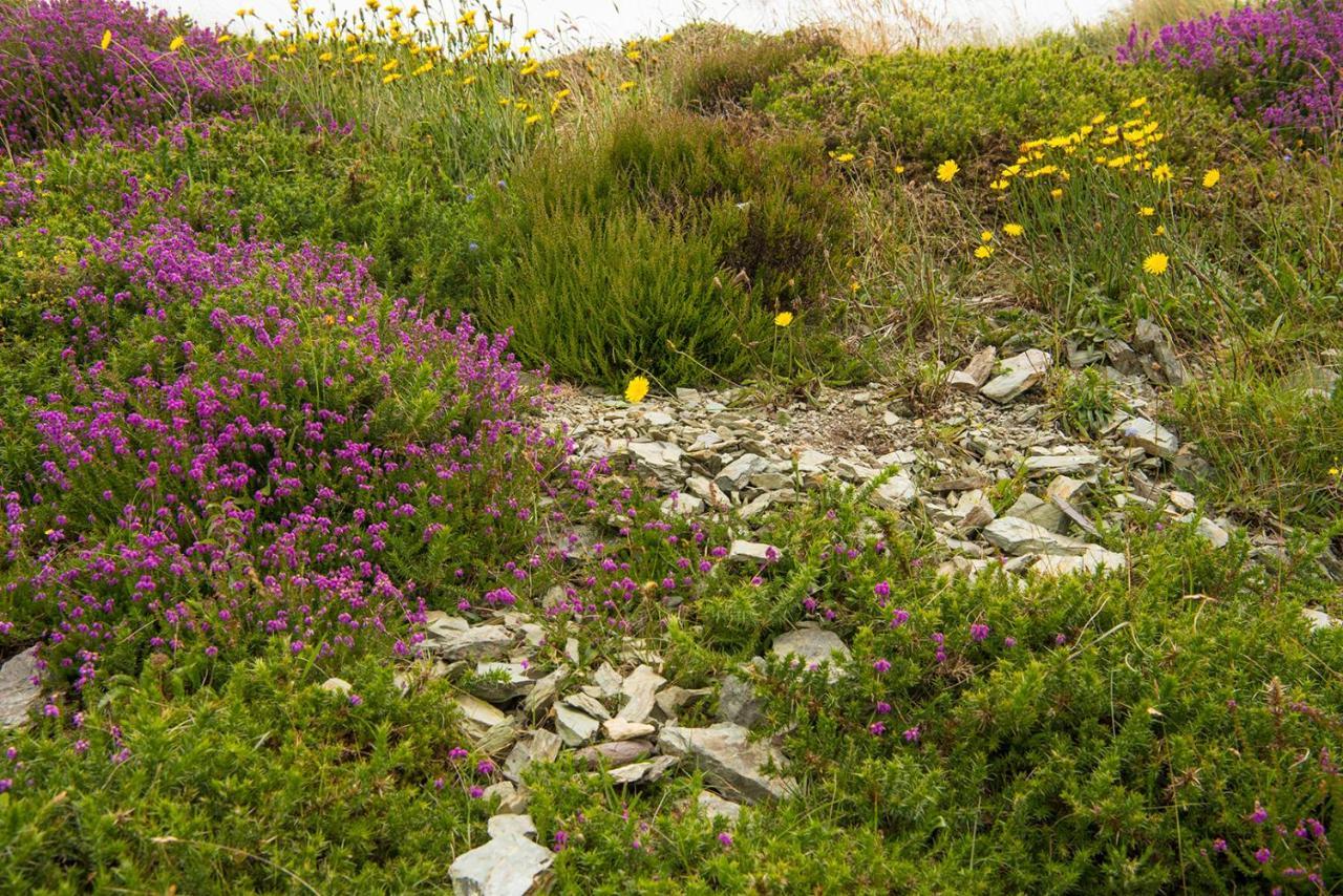 Ring Of Kerry - Einmaliger Blick Auf Skelligs Apartment Clynacartan Екстериор снимка
